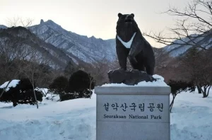 Patung Beruang di Gunung Seorak