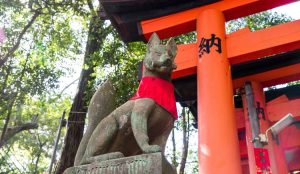 Patung Rubah, Utusan Suci Dewa Inari