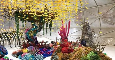 Perkembangan Seni Lukis Kontemporer di Indonesia dan Pengaruh Generasi Muda